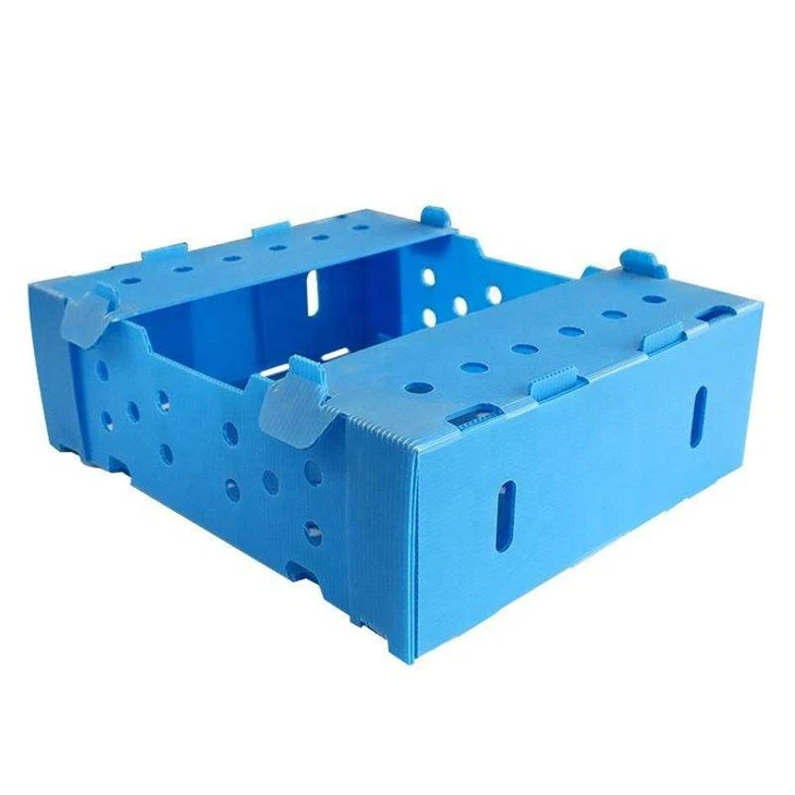 Reusable Corrugated Plastic Packaging Boxes