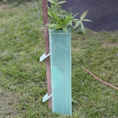 Grüner Coroplast-Baumschutz aus Kunststoff