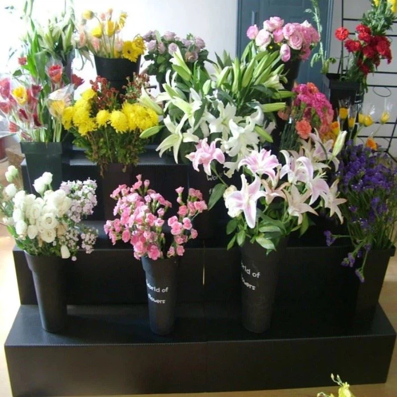 Lightweight PP Plant Display Stand Lightweight PP Plant Display Stand