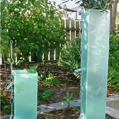 Corflute Tree Guards