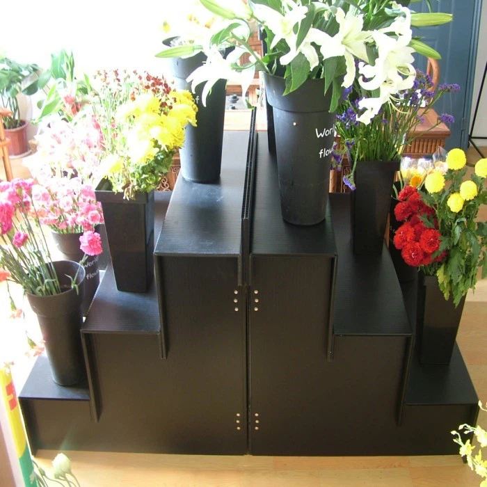 Step Display Stand